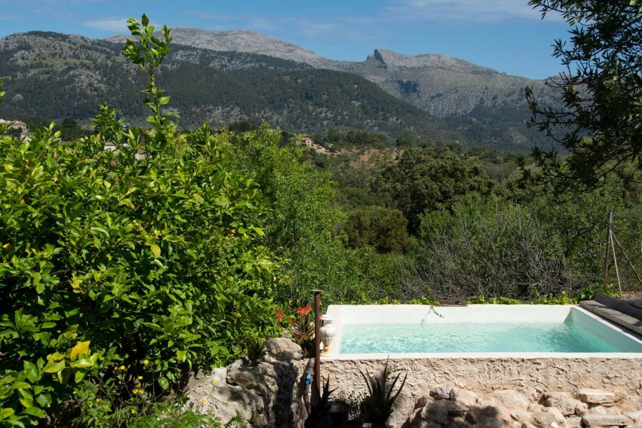 Ca Na Panxa Bed and Breakfast Campanet Εξωτερικό φωτογραφία